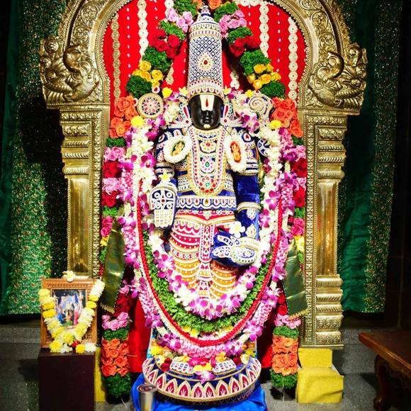 Meet your Posher, Chitra - Picture 1 of 1